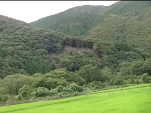 写真：高知県北川村地すべり地