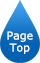 Page Top